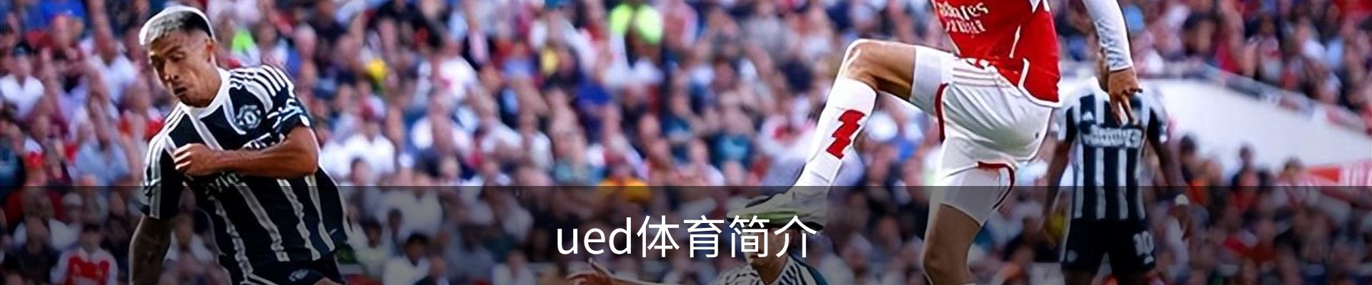 ued体育简介